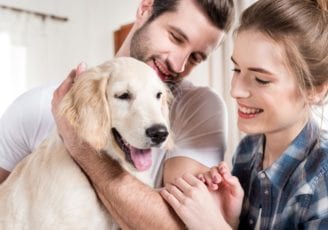 Fake pet adverts lead to large losses