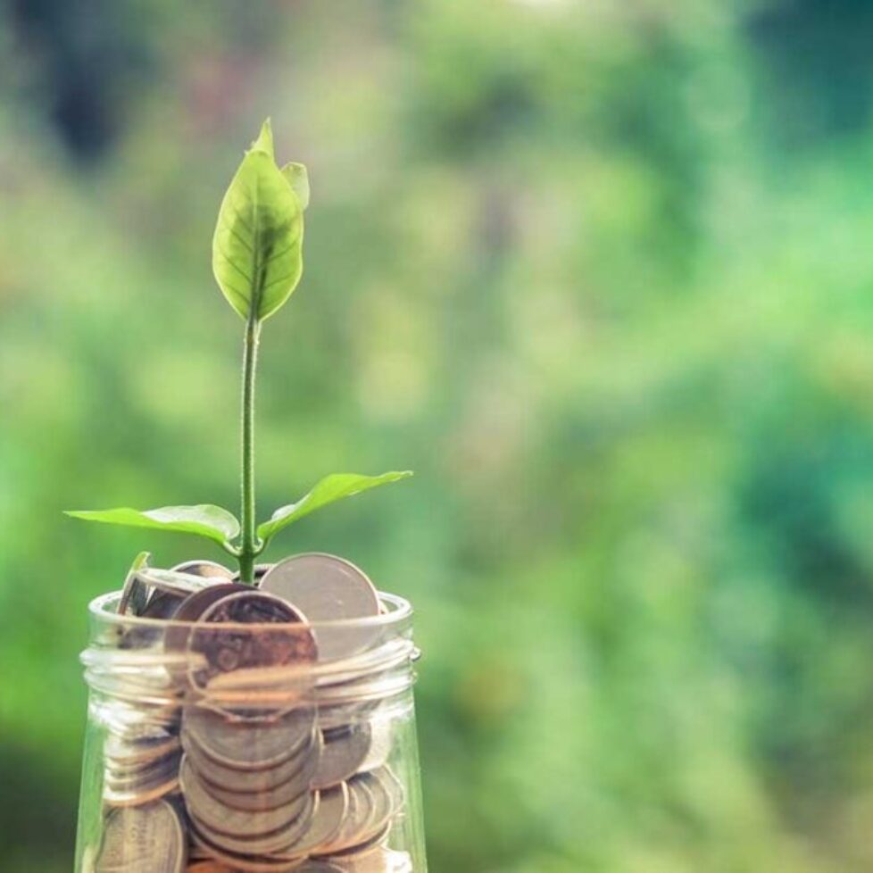 National Savings goes green