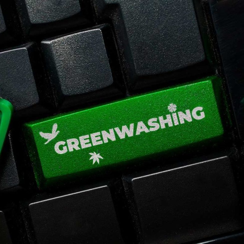 The regulator goes after greenwashing 